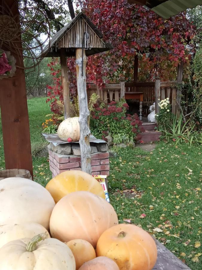 Pidkova Villa Verkhovijna Eksteriør bilde