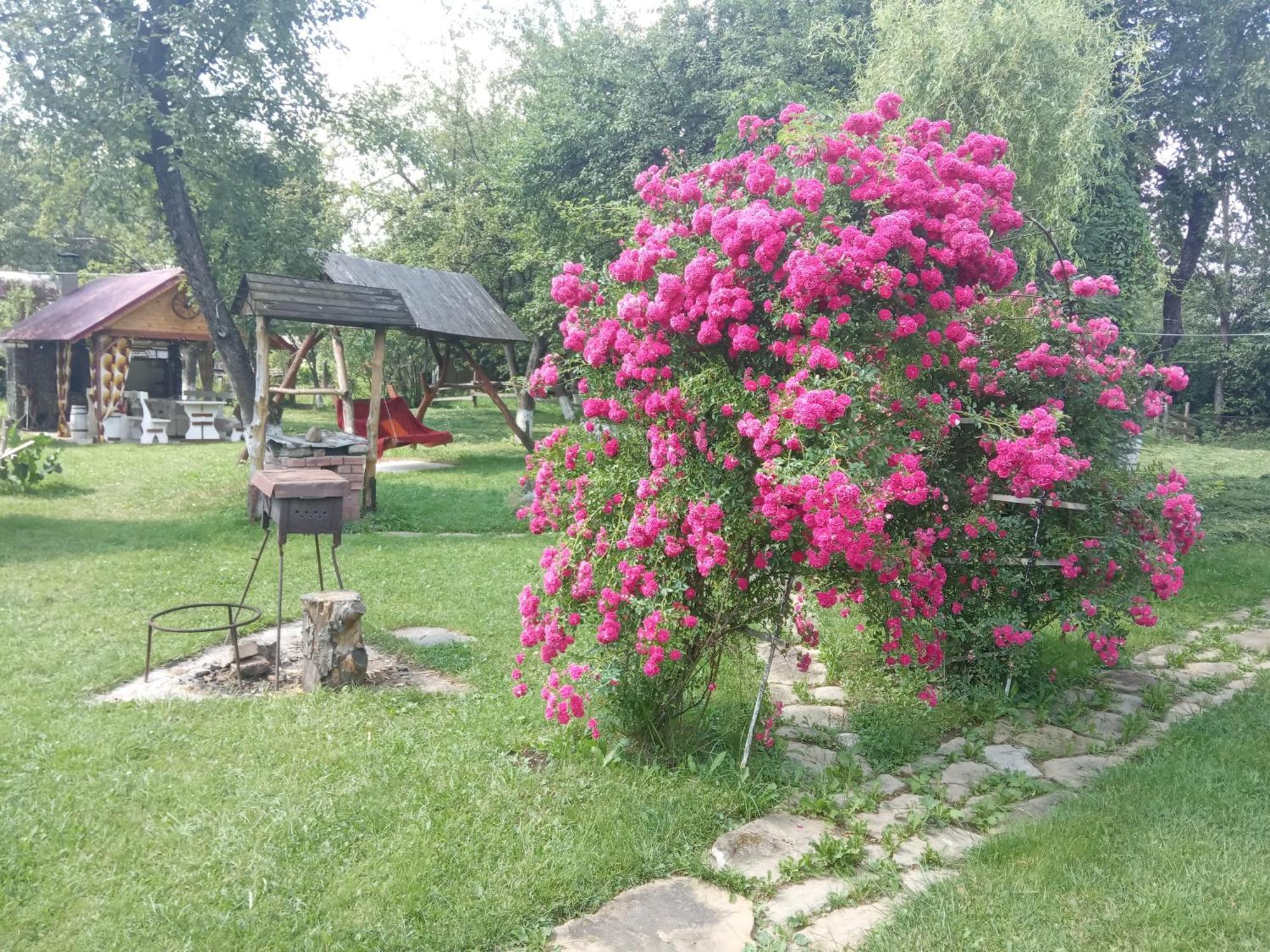 Pidkova Villa Verkhovijna Rom bilde