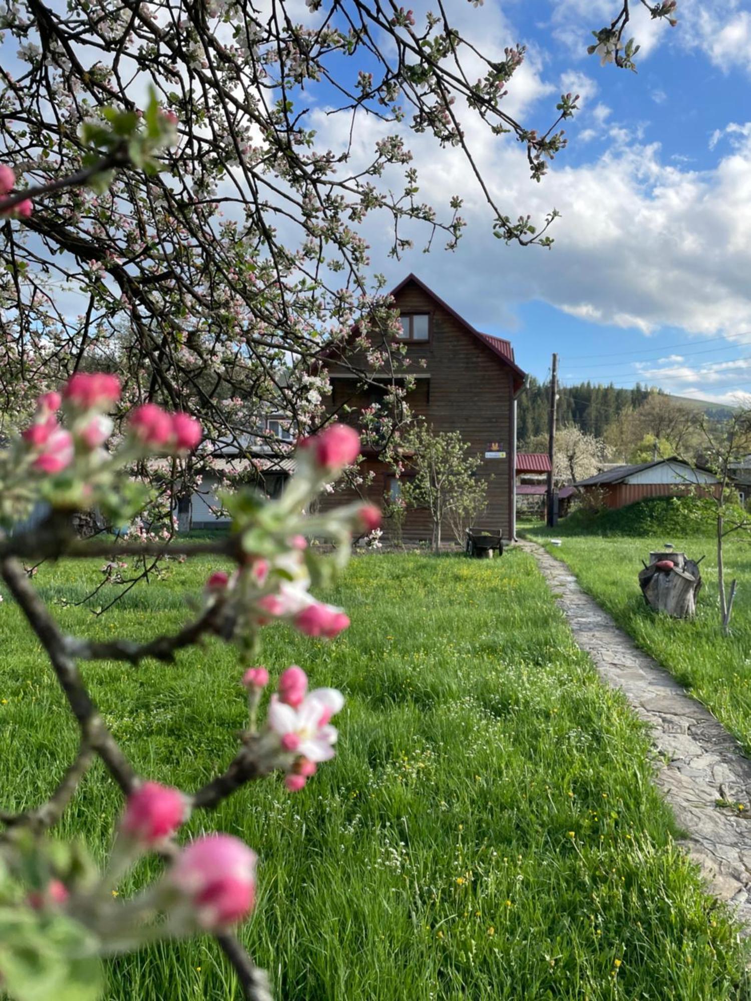 Pidkova Villa Verkhovijna Eksteriør bilde