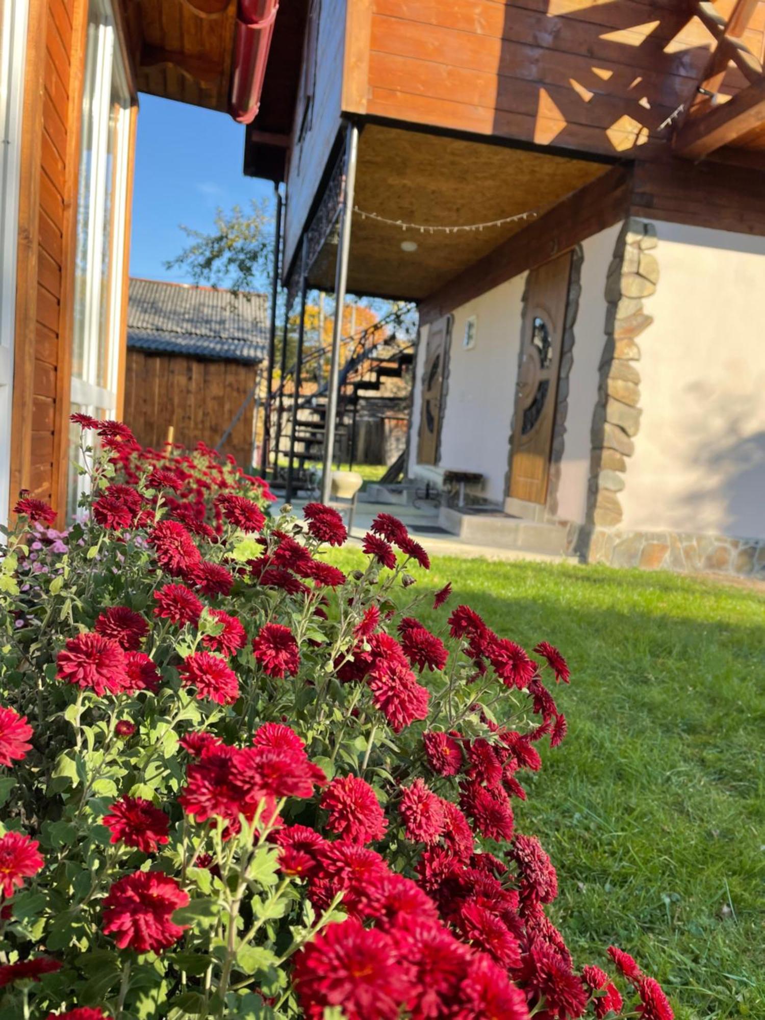 Pidkova Villa Verkhovijna Eksteriør bilde